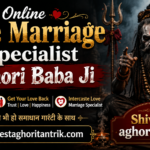 Online Love Marriage Specialist Aghori Baba Ji